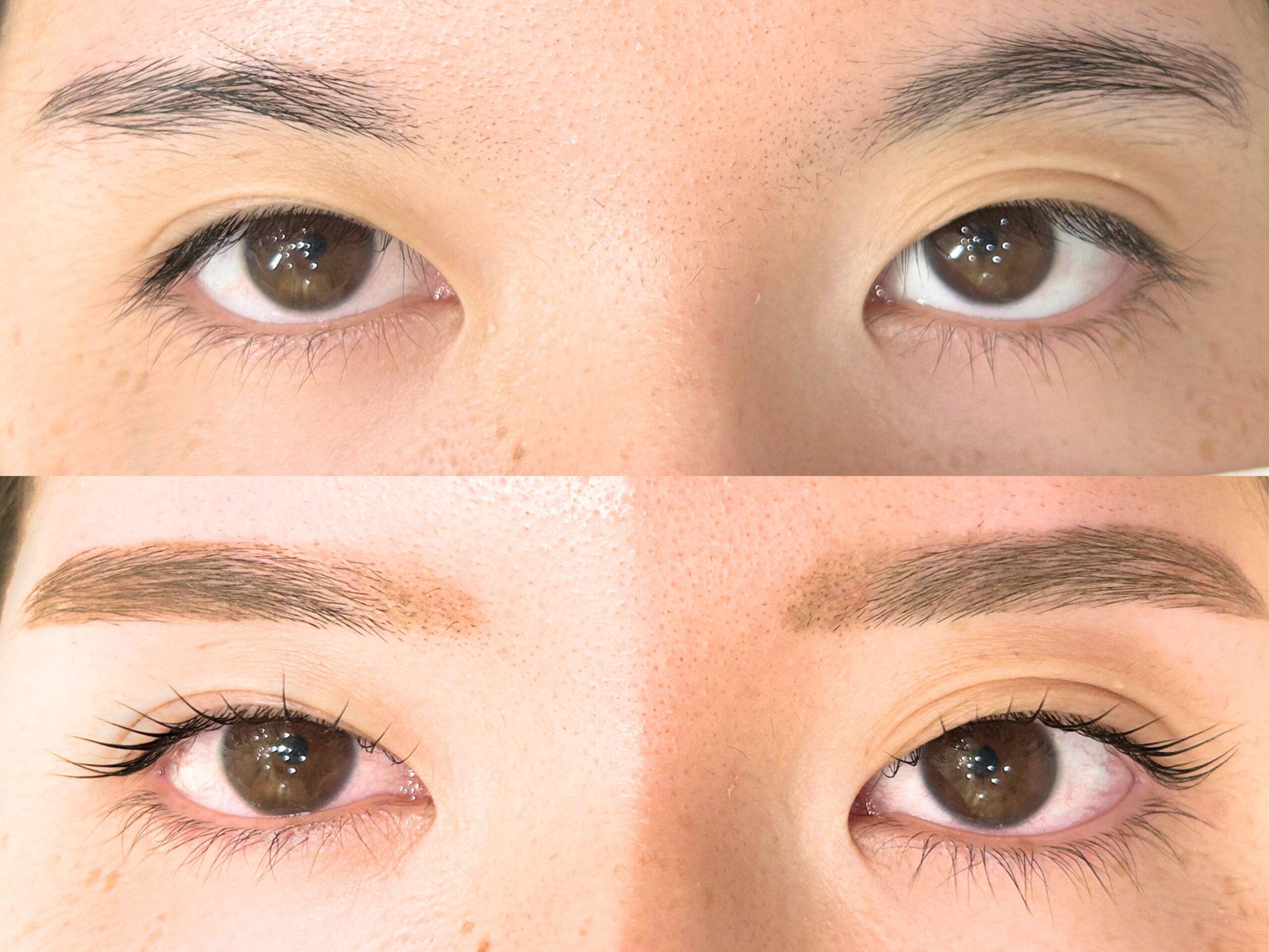 まつ毛パーマ+アイブロウ